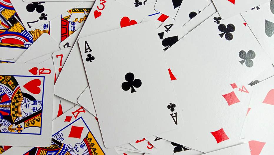 Entrevista com os Desenvolvedores de Vemabet